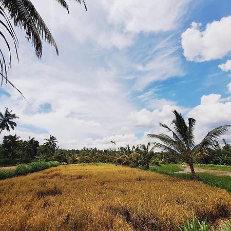 Bunga Maliq Bungalow Lombok Тетебату Екстер'єр фото