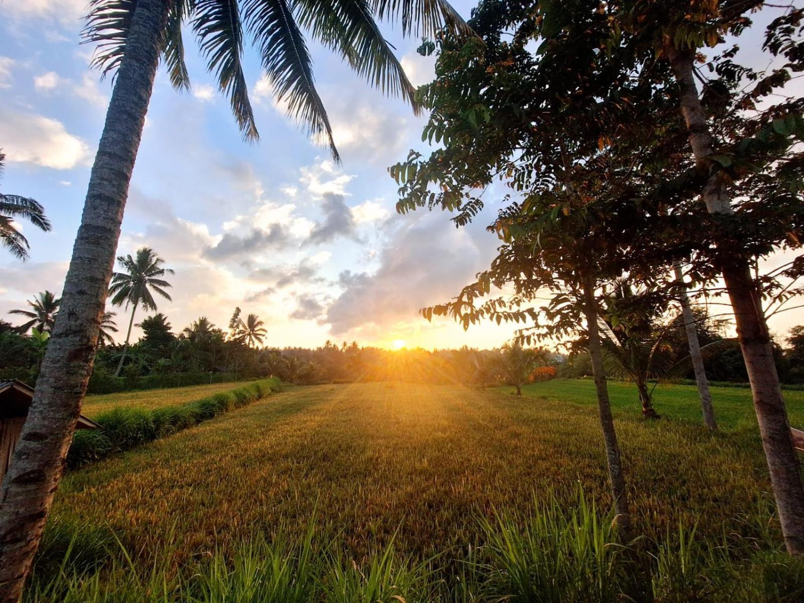 Bunga Maliq Bungalow Lombok Тетебату Екстер'єр фото