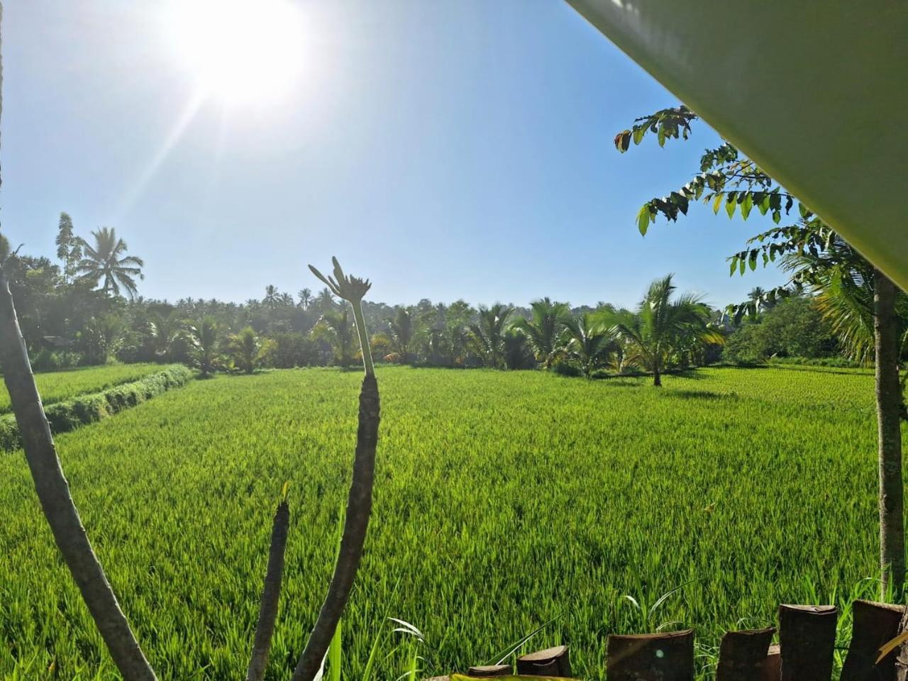 Bunga Maliq Bungalow Lombok Тетебату Номер фото