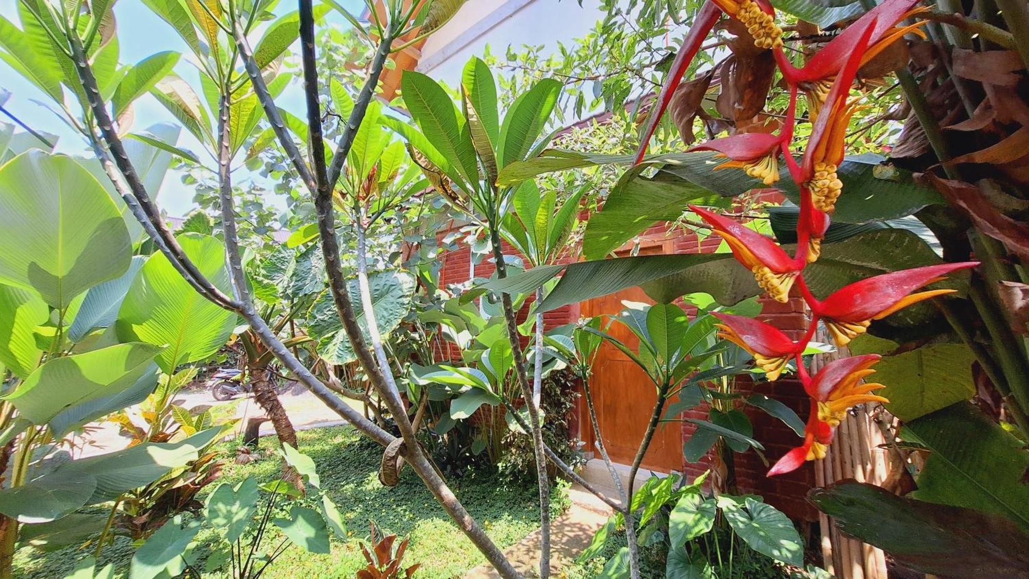 Bunga Maliq Bungalow Lombok Тетебату Номер фото